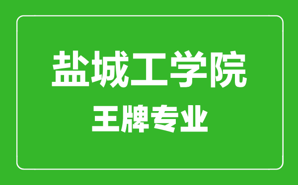 鹽城工學院王牌專業有哪些,鹽城工學院最好的專業是什么