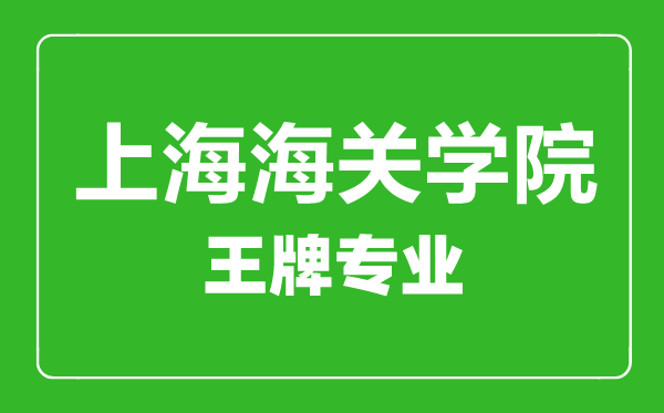 上海海關學院王牌專業有哪些,上海海關學院最好的專業是什么