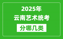 2025年云南藝術統考類型有哪幾種？