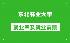 東北林業大學就業率怎么樣_就業前景好嗎？