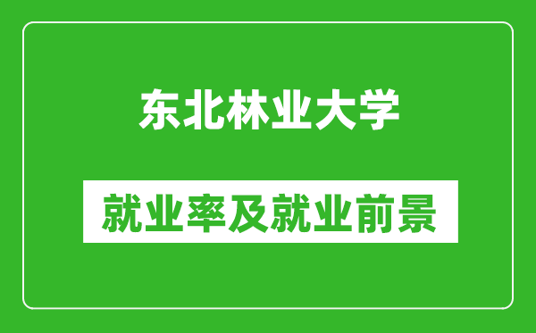 東北林業大學就業率怎么樣,就業前景好嗎？