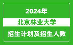 北京林業大學2024年在江蘇的招生計劃及招生人數