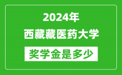 2024年西藏藏醫藥大學獎學金多少錢_覆蓋率是多少？