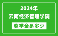 2024年云南經濟管理學院獎學金多少錢_覆蓋率是多少？