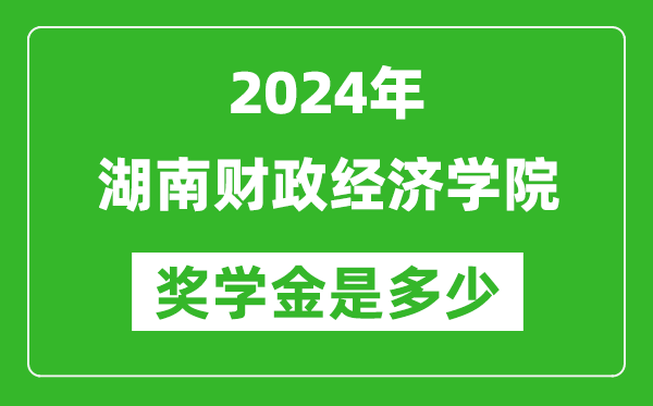 2024年湖南財政經濟學院獎學金多少錢,覆蓋率是多少？