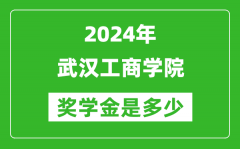 2024年武漢工商學院獎學金多少錢_覆蓋率是多少？