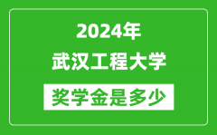 2024年武漢工程大學獎學金多少錢_覆蓋率是多少？