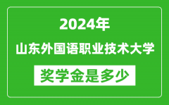 2024年山東外國語職業技術大學獎學金多少錢_覆蓋率是多少？