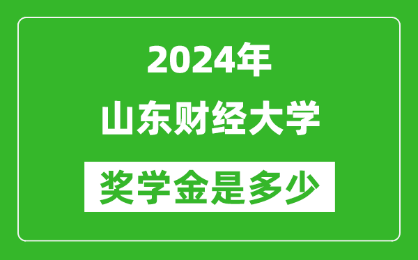 2024年山東財經大學獎學金多少錢,覆蓋率是多少？