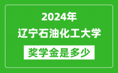 2024年遼寧石油化工大學獎學金多少錢_覆蓋率是多少？