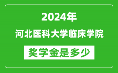 2024年河北醫科大學臨床學院獎學金多少錢_覆蓋率是多少？