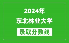 2024吉林高考多少分可以上東北林業大學（含分數線、位次）