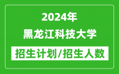 2024年黑龍江科技大學各省招生計劃及各專業招生人數是多少？