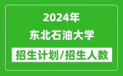 2024年東北石油大學各省招生計劃及各專業招生人數是多少？