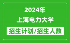 2024年上海電力大學各省招生計劃及各專業招生人數是多少？